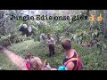 3 day 2 nights Jungle trekking Bukit Lawang Fam Velden 2017