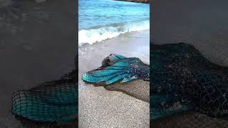 oh no the mermaid got tangled in the net 🧜🏻‍♀️ #mermaid #floridamermaid #mermaids #miami #florida