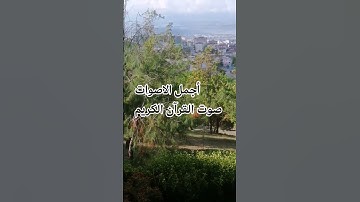 قران كريم بصوت جميل للشيخ سعود الشريم سورة مريم #القرآن_الكريم #راحة_نفسية #تصويري #الرحمن#لايك ♥️