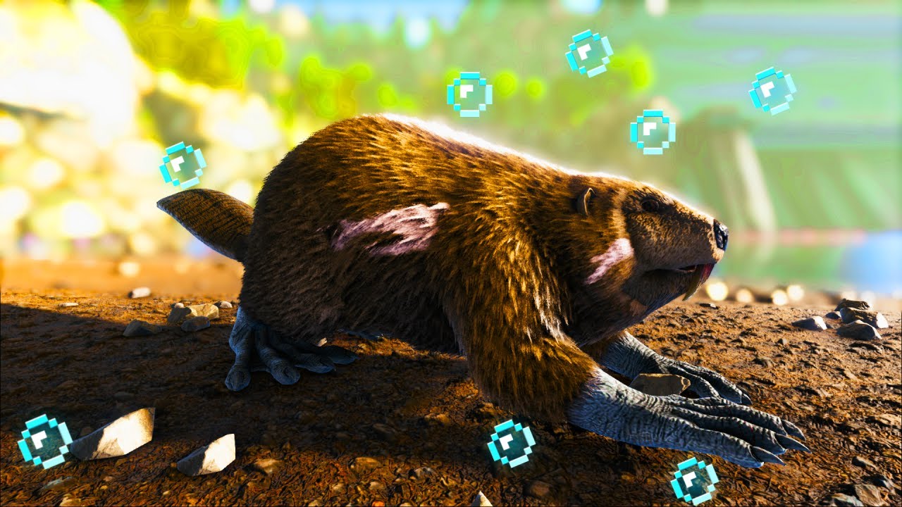 Ark Genesis 2 Beaver Dams And Cementing Paste Guide – VSMSP