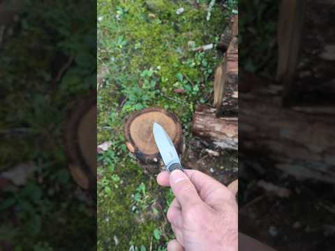 Random Log Stickin'