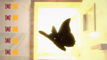 Turning EN-006 into an ICBM of God (Delusional Office)