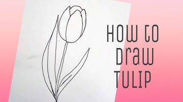 How to Draw Tulip Flower / Quick and Easy Tulip Flower/ Flower Doodle Tutorial#shorts #youtubeshorts