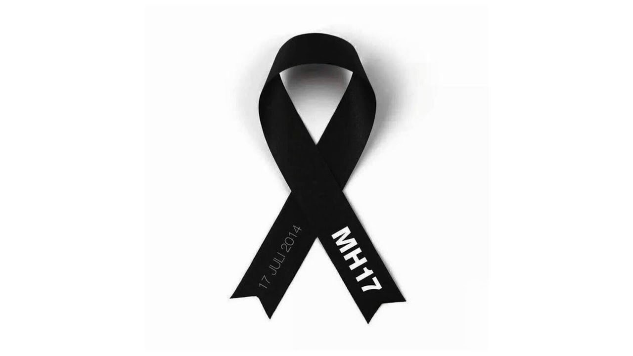 MH17-project