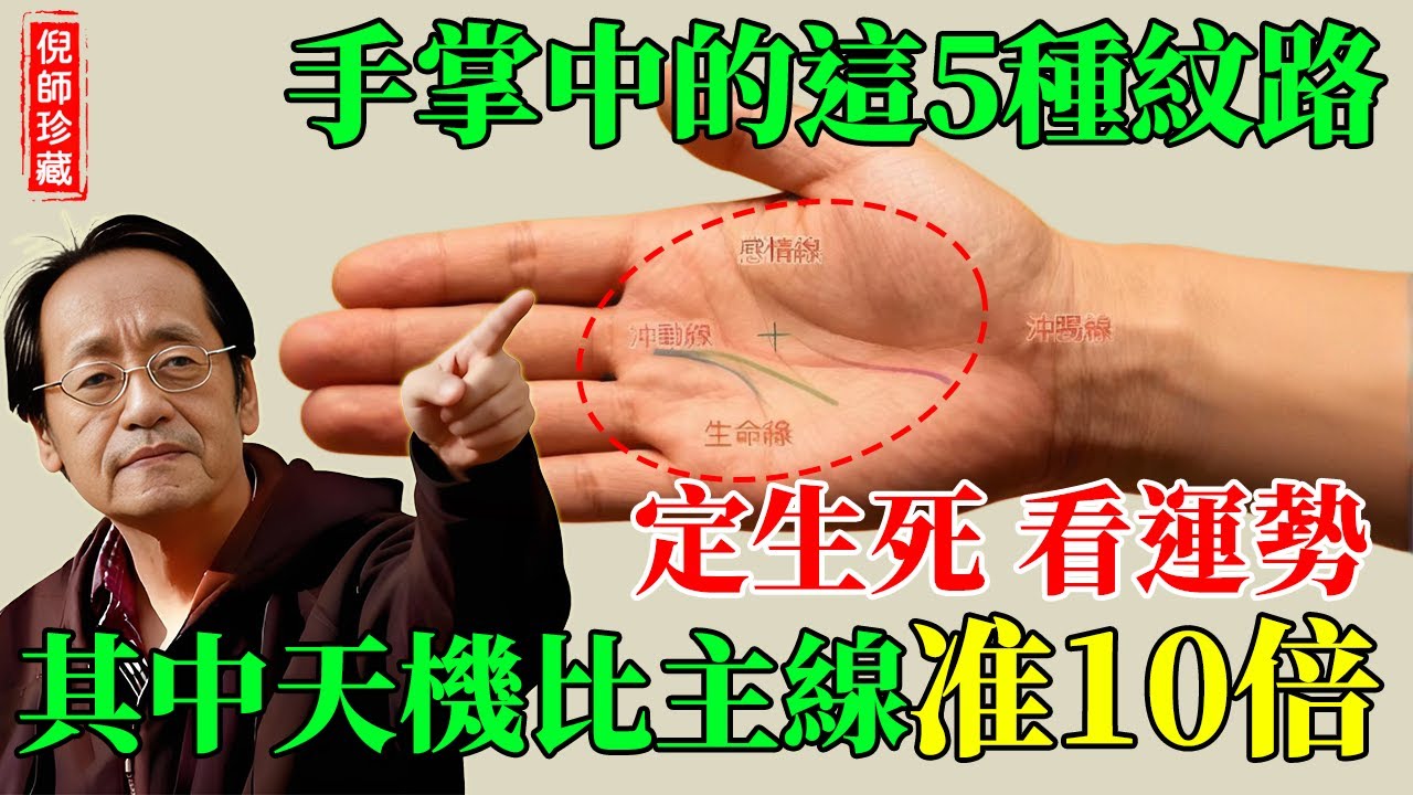 倪海廈：看手相的精髓，從雜紋看穿一生！比三條主線準10倍！#倪海廈 #易經 #國學 #手相 #看手相 #雜紋 #島紋 #十字紋 #星紋 #井字紋 #流蘇紋