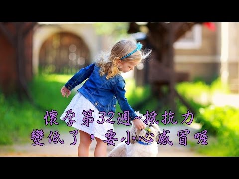 懷孕第32週~抵抗力變低了，要小心感冒喔 【我懷孕了】