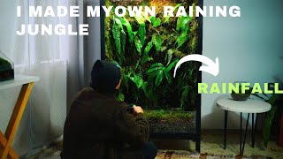 i turned my old cabinet into a raining forest | rainfall vivarium | rainfall terrarium