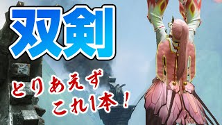 【モンハンライズ】初心者でも簡単！鈍器使いを採用した双剣の汎用装備が快適で高火力！必須スキルも解説【モンスターハンターライズ】
