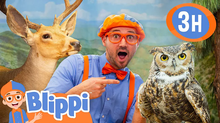 Learn About Mammals & Birds with Blippi ! 🦉🦌 | Blippi’s Educational Animal Adventure! thumbnail