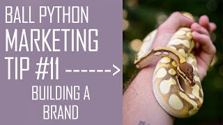 BALL PYTHON Marketing Tip #11 | Build a Brand