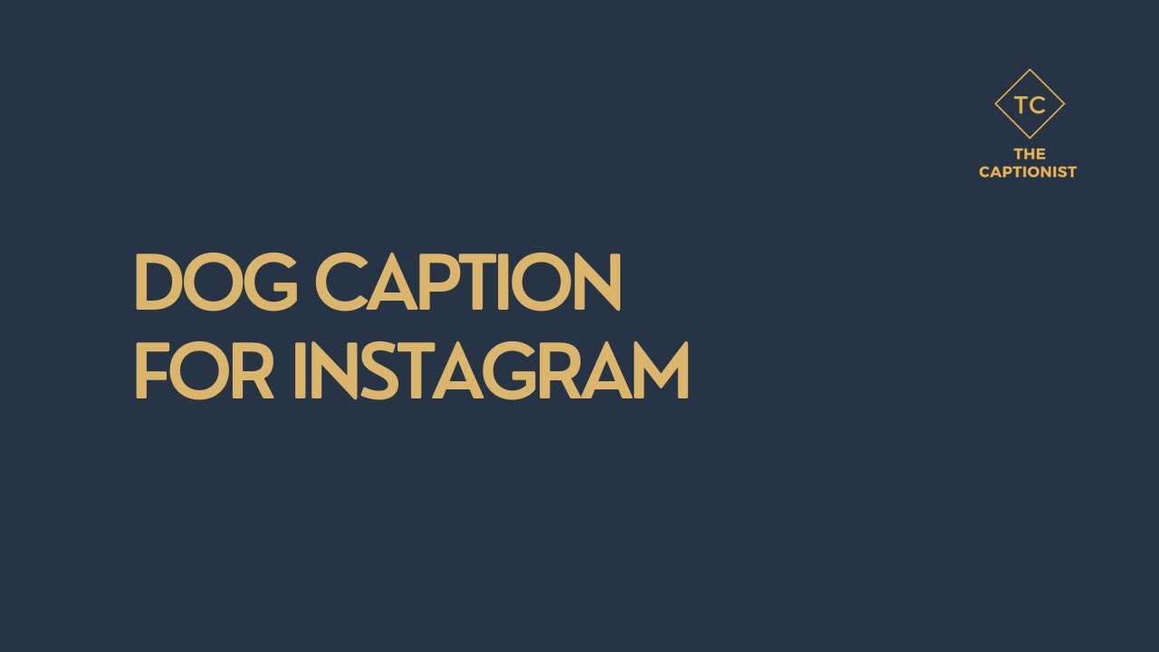 Dog Caption For Instagram