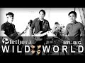 WILD WORLD - Mr. Big | cover by PLETHORA