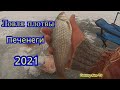 ЛОВЛЯ ПЛОТВЫ 2021 ПЕЧЕНЕГИ