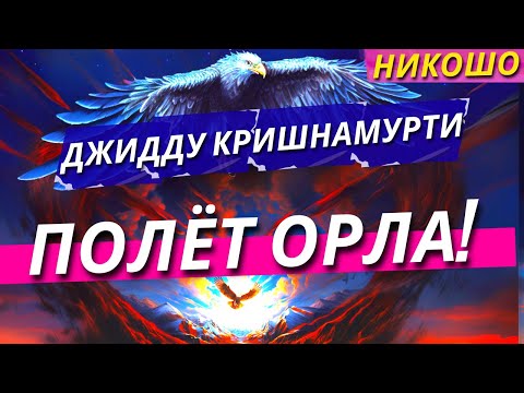 Джидду Кришнамурти: Полёт Орла! (Полная Аудиокнига, Читает Nikosho)