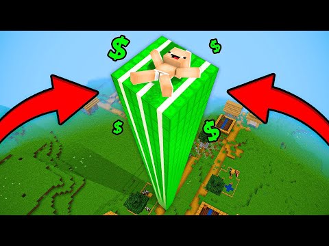 SAKARBEBEK VS MİNECRAFT