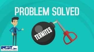 Explainer video for pest control company about termites