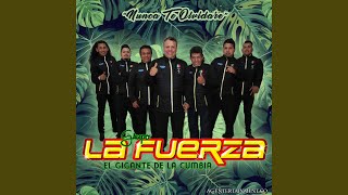 Video thumbnail of "Grupo La Fuerza - Vuelve"