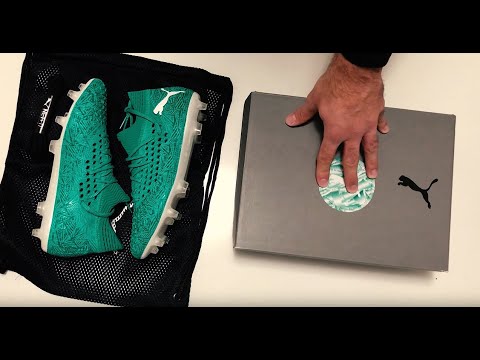 puma future winterized
