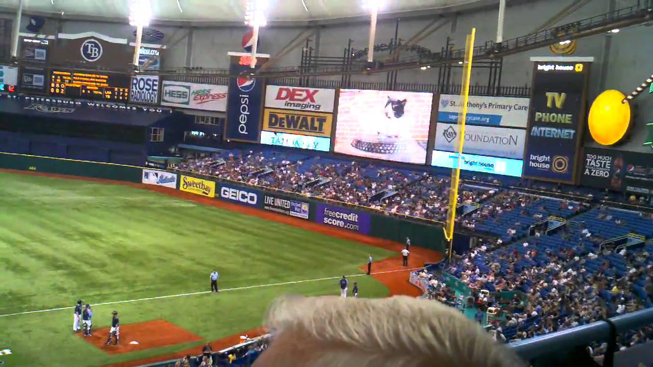 Dj kitty tampa bay rays rally song YouTube