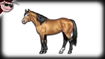 The Origin of HORSER | Nicholas DeOrio