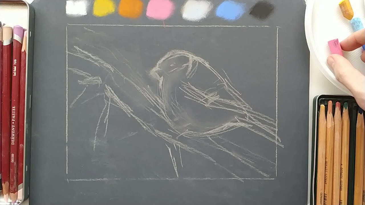 Speedpaint with soft pastel. Bullfinch.