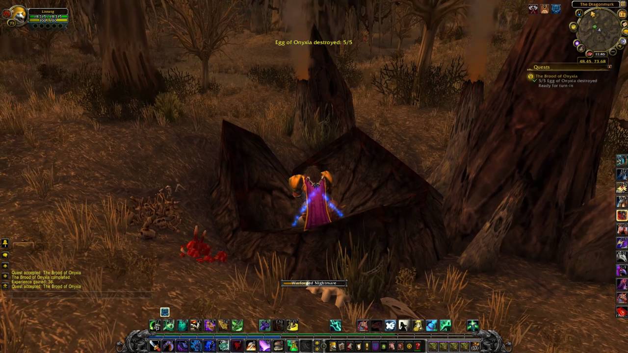 The Brood Of Onyxia Quest ID 27415 Playthrough Dustwallow Marsh YouTube
