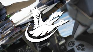 Viper Enhanced - FLCS for DCS F-16C by Duck Designs