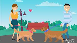 Dogs map mobile application screenshot 2