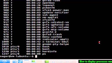 How to display processes running for specific user in Linux Shell terminal