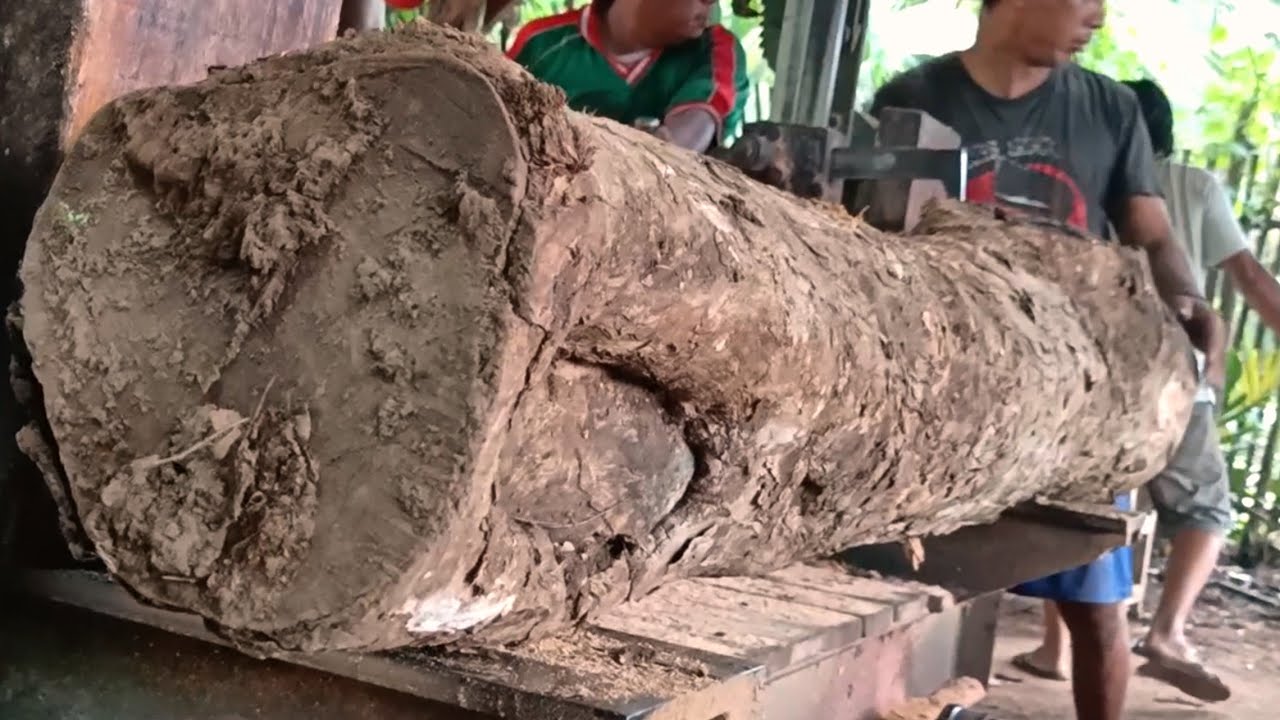 🌲Rare discovery of beautiful grain in teak wood when sawed 
