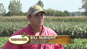 Kudzu Bugs Could Impact You