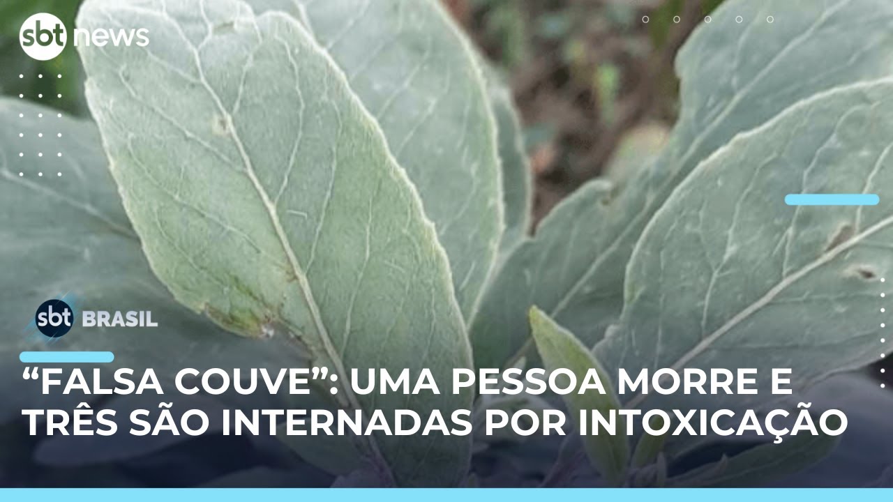 Mulher morre e três homens são internados após consumir “falsa couve” em MG | #SBTBrasil
