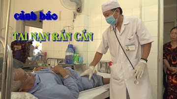 CẢNH BÁO TAI NẠN RẮN CẮN TRONG MÙA MƯA