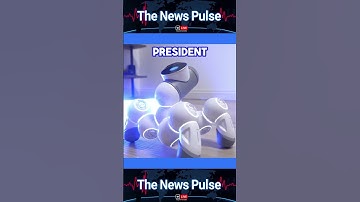 Elon Musk’s $100B Offer to Buy OpenAI, Hostage Release in Gaza, Trump’s Tariffs | The News Pulse