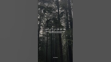 سورة النمل | #ياسر_الدوسري | #القران_الكريم | #quran