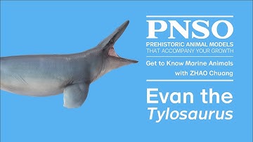Evan the Tylosaurus | The Story of Creating Evan the Tylosaurus