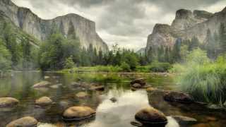 Misty Forest Animated Wallpaper http://www.desktopanimated.com/