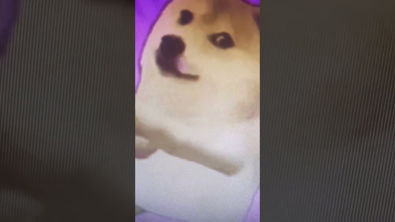 DOGE VIRAL 