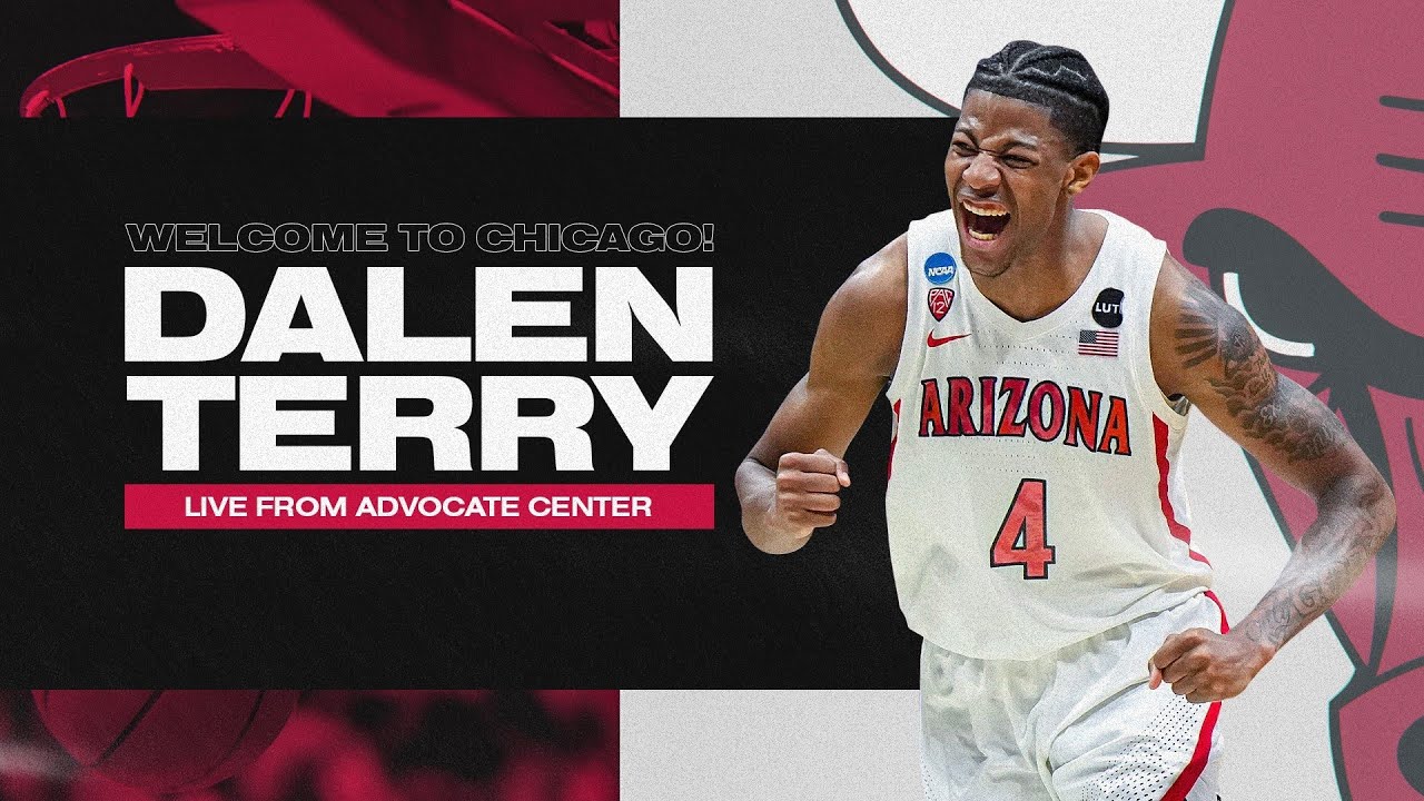 Bulls introduce Arizona Wildcat Dalen Terry to the media and NBA fans