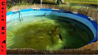 HOW TO BUILD A POND using a POOL in your backyard! Catch_Em_All_Fishing General DIY Pond OverView Hey guys this is an overview on how to build your own above ground pool pond! ENjoy the Video! I also have another video that