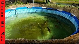 HOW TO BUILD A POND using a POOL in your backyard! Catch_Em_All_Fishing General DIY Pond OverView