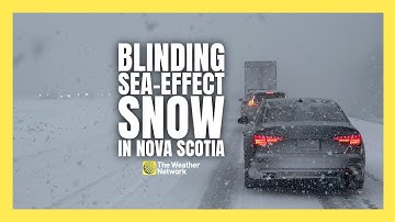 Sea-Effect Snow Snarls Traffic, Buries Roads in Nova Scotia