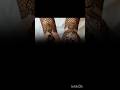 jodi mehandi design bridal mehndi #beautful #mehndi