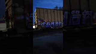 Very Slow BNSF Train Going Through Sugar Grove!