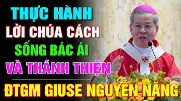 THỰC HÀNH LỜI CHÚA CÁCH SỐNG BÁC ÁI VÀ THÁNH THIỆN ⛪️ BÀI GIẢNG HAY CỦA CHA ĐTGM GIUSE NGUYỄN NĂNG