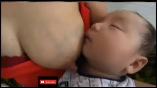 BU CANTIK MENYUSUI BAYI part 6 || MAMA MUDA