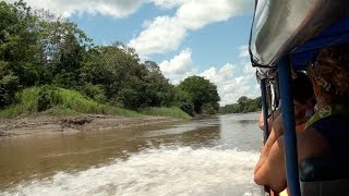 Powerboat Ride to Amazon Jungle Lodge