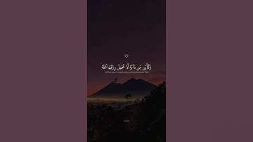 سورة العنكوب بصوت القارئ عبد الرحمن مسعد #قرآن_كريم #قرآن #سورة_العنكبوت #راحة_نفسية #عبدالرحمن_مسعد