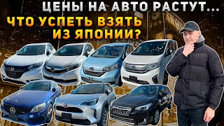 MERCEDES C CLASS🔥YARIS CROSS🔥SUBARU XV🔥HONDA SHUTTLE🔥FREED🔥КАКОЙ АВТО СЕЙЧАС КУПИТЬ ИЗ ЯПОНИИ?