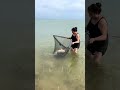 Крупный сазан #случаинарыбалке